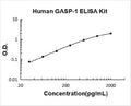 Human GASP-1 PicoKine ELISA Kit standard curve