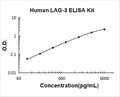 Human LAG-3 PicoKine ELISA Kit standard curve