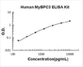 Human MyBPC3 PicoKine ELISA Kit standard curve