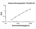 Human Neuropeptide Y/NPY PicoKine ELISA Kit standard curve