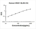 Human VSIG1 PicoKine ELISA Kit standard curve