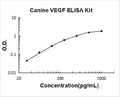 Canine VEGF PicoKine ELISA Kit standard curve