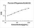 Porcine IFN-gamma PicoKine ELISA Kit standard curve