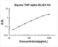 Equine TNF-alpha PicoKine ELISA Kit standard curve