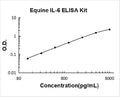 Equine IL-6 PicoKine ELISA Kit standard curve