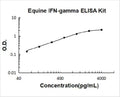 Equine IFN-gamma PicoKine ELISA Kit standard curve