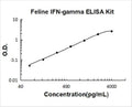 Feline IFN-gamma PicoKine ELISA Kit standard curve