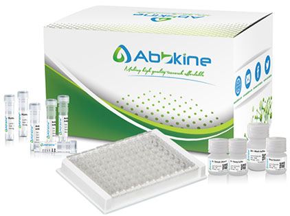 Mouse Thyroid-Peroxidase (TPO) ELISA Kit – Figure 1 of 1