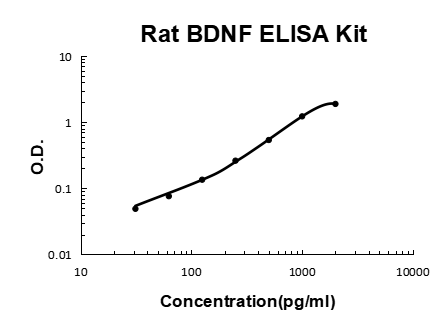 Rat BDNF EZ Set ELISA Kit standard curve