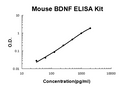 Mouse BDNF EZ Set ELISA Kit standard curve