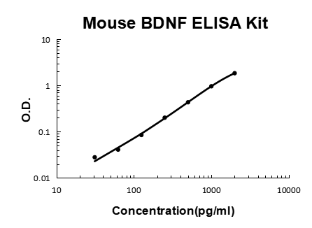 Mouse BDNF EZ Set ELISA Kit standard curve