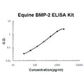 Horse equine BMP-2 EZ-Set ELISA Kit standard curve