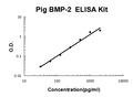 Pig porcine BMP-2 EZ-Set ELISA Kit standard curve
