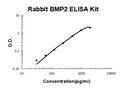 rabbit BMP-2 EZ-Set ELISA Kit standard curve