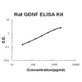 Rat GDNF EZ-Set ELISA Kit standard curve