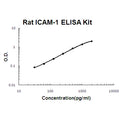 Rat ICAM-1 EZ-Set ELISA Kit standard curve