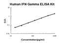 Human IFN gamma EZ Set ELISA Kit standard curve