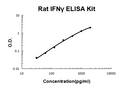 Rat IFN gamma EZ-Set ELISA Kit standard curve
