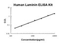 Human Laminin EZ-Set ELISA Kit standard curve