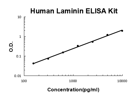 Human Laminin EZ-Set ELISA Kit standard curve