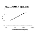 Mouse TIMP-1 EZ-Set ELISA Kit standard curve