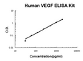 Human VEGF EZ Set ELISA Kit standard curve