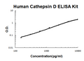 Human Cathepsin D EZ-Set ELISA Kit standard curve