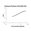 Human Fetuin A/AHSG EZ-Set ELISA Kit standard curve
