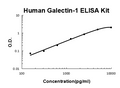 Human Galectin-1 EZ Set ELISA Kit standard curve