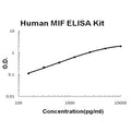 Human MIF EZ-Set ELISA Kit standard curve