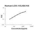 Human LOX-1/OLR1 EZ Set ELISA Kit standard curve