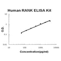 Human RANK EZ-Set ELISA Kit standard curve