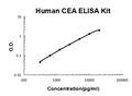 Human CEA EZ-Set ELISA Kit standard curve