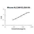 Mouse ALCAM/CD166 EZ-Set ELISA Kit standard curve