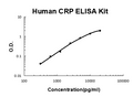 Human CRP EZ-Set ELISA Kit standard curve