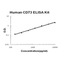 Human CD73/NT5E/Ecto-5'-nucleotidase EZ-Set ELISA Kit standard curve