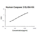 Human Caspase 3/CASP3 EZ-Set ELISA Kit standard curve