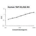 Human TAFI/CPB2 EZ Set ELISA Kit standard curve
