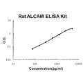 Rat ALCAM/CD166 EZ-Set ELISA Kit standard curve