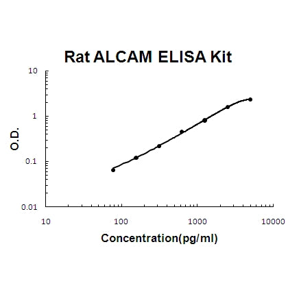 Rat ALCAM/CD166 EZ-Set ELISA Kit standard curve