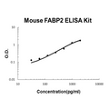Mouse FABP2 EZ-Set ELISA Kit standard curve
