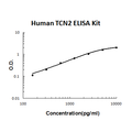 Human TCN2/Transcobalamin-2 EZ-Set ELISA Kit standard curve