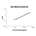 Rat MAG EZ-Set ELISA Kit standard curve