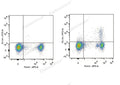 FITC Anti-Mouse CD25 Antibody[PC-61.5.3] – Figure 1 of 2