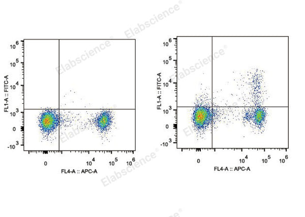 FITC Anti-Mouse CD25 Antibody[PC-61.5.3] – Figure 1 of 2
