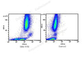 FITC Anti-Human CD31 Antibody[158-2B3] – Figure 1 of 2