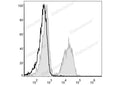 PE Anti-Mouse CD19 Antibody[1D3] – Figure 1 of 2