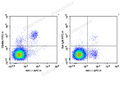 FITC Anti-Mouse CD49b/pan-NK cells Antibody[DX5] – Figure 1 of 2