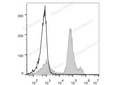 PE Anti-Mouse Ly6C Antibody[Monts 1] – Figure 1 of 2
