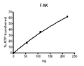 FAK, GST-Tag Recombinant – Figure 1 of 4
